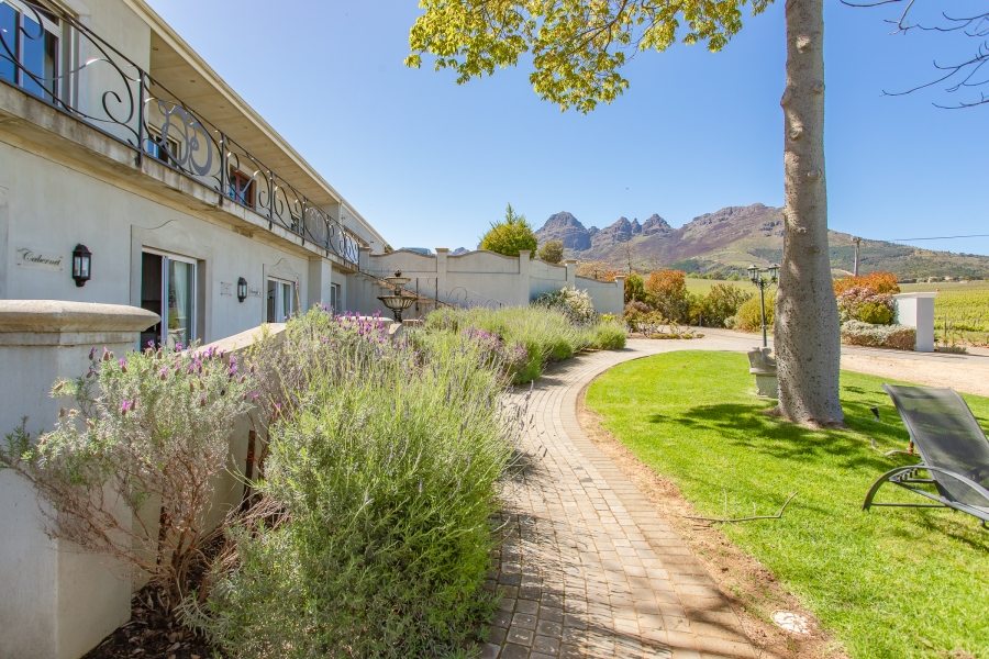 6 Bedroom Property for Sale in Stellenbosch Farms Western Cape